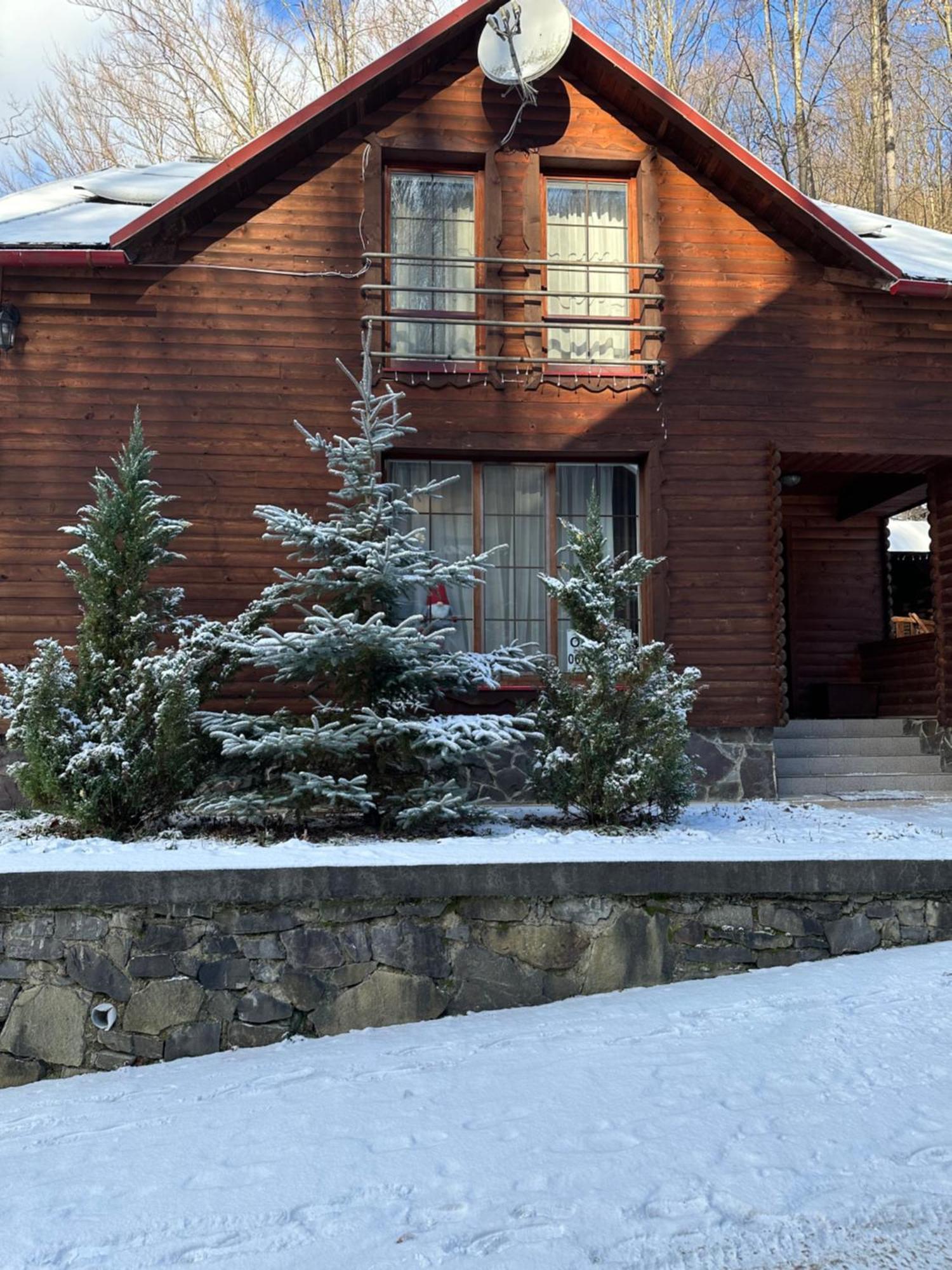 Домик В Горах Villa Tur'ya Paseka Exterior photo
